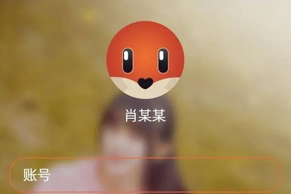 探探如何使用编号搜索